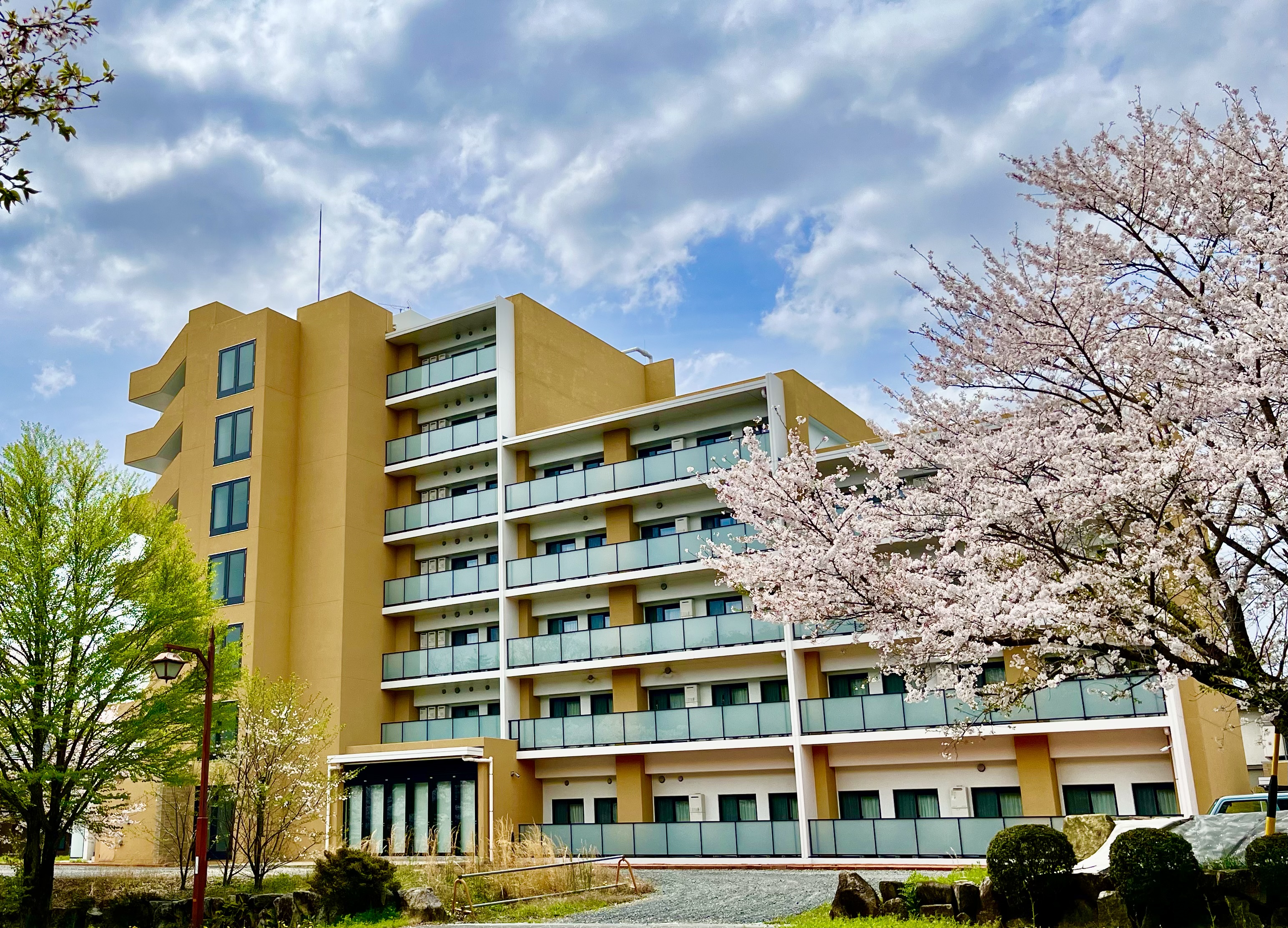 Introduction to the International Dormitory